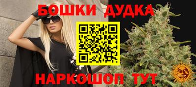 молекула духа Берёзовский
