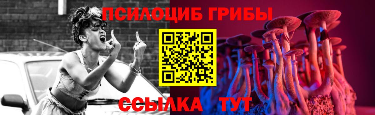 Псилоцибиновые грибы Cubensis Когалым